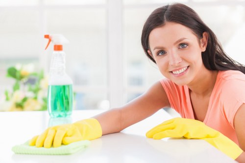 Professional oven cleaning service in a Notting Hill kitchen