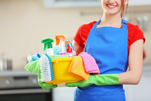 Professional house cleaning in a Nottinghill apartment with a tidy living room