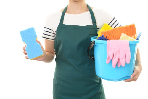 Cleaner Notting Hill cleaning a bright elegant home interior