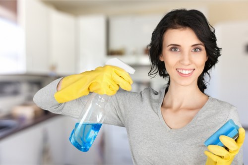 Domestic cleaning for period homes and flats in Nottinghill