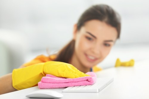 Local cleaner working in a Nottinghill apartment with careful attention